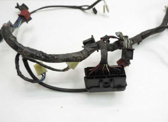 Kabelboom Honda CBR 1000 F