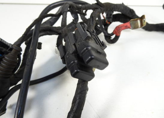Wire Harness Ducati 749  999