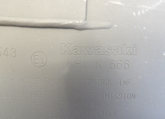 Uitlaat Kawasaki Z 900