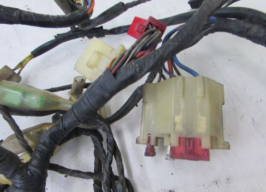 Kabelboom Honda PC 800