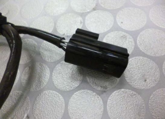 Oxygen sensor Triumph Tiger 955i