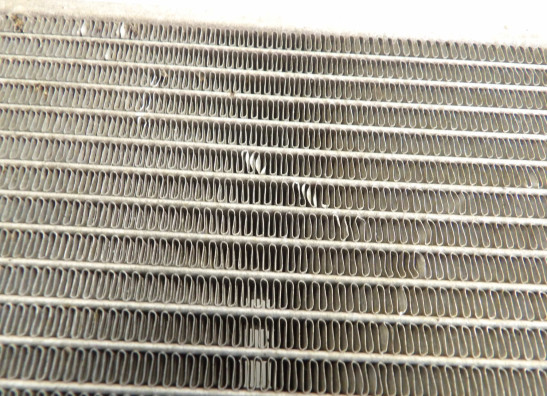 Radiator Kawasaki Z 1000 Sx