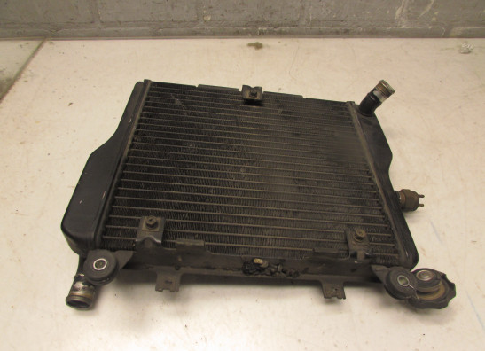 Kuhler Kawasaki ZX 10 R