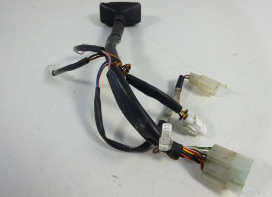 Wire harness front KTM 990 Superduke