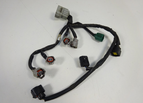 Wire Harness Yamaha FZ8