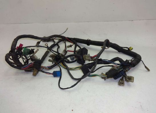Wire Harness Yamaha FZ 750