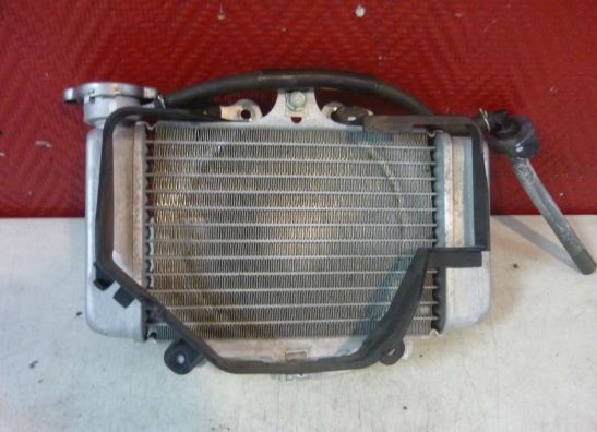 Radiator Honda Dylan