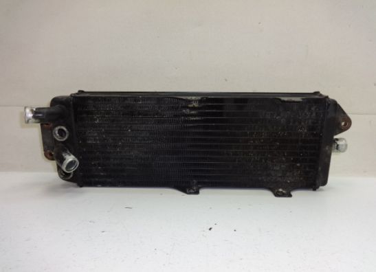 Radiateur Suzuki VX 800