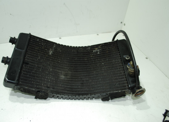 Radiator Yamaha GTS 1000