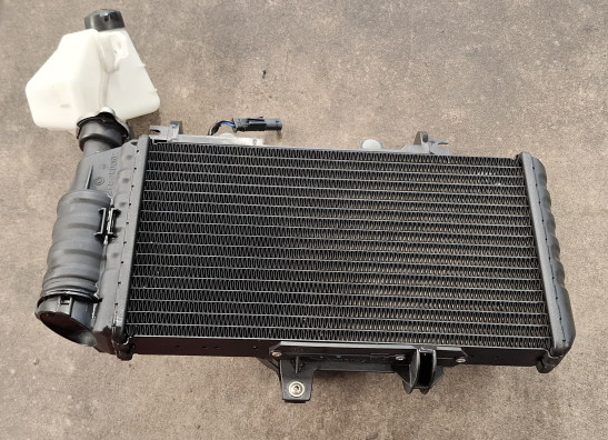 Radiateur BMW F 700 GS