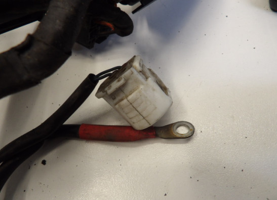 Kabelboom BMW R 1200 GS