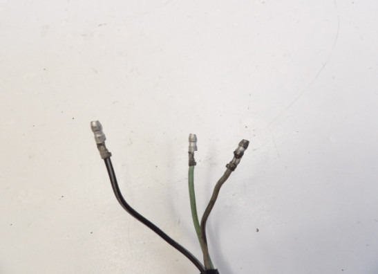 Winker right front Suzuki LS 650