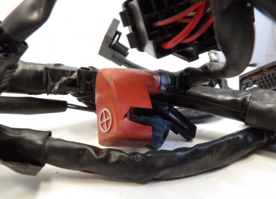 Kabelboom Honda CBR 600 F