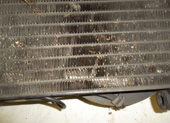 Kuhler Honda CBR 600 F