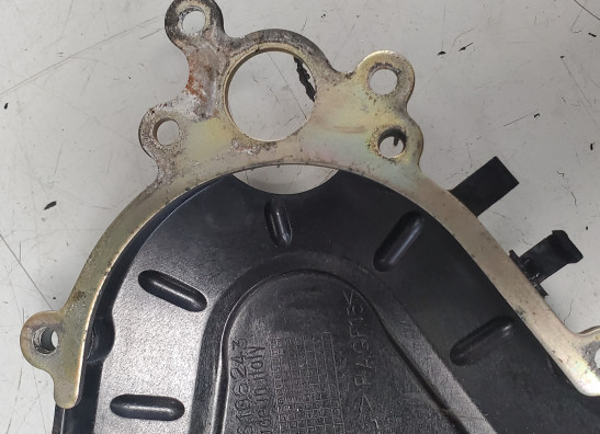 Afdekkap Aprilia Tuono 1000