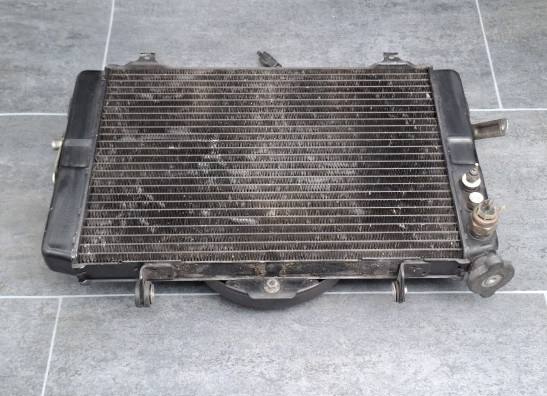 Radiator Yamaha FZR 1000