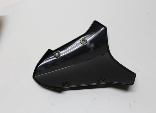Wind screen Kawasaki Z H2