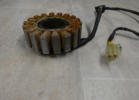 Dynamo Ducati Hypermotard 796