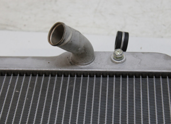 Radiateur Yamaha XSR 700