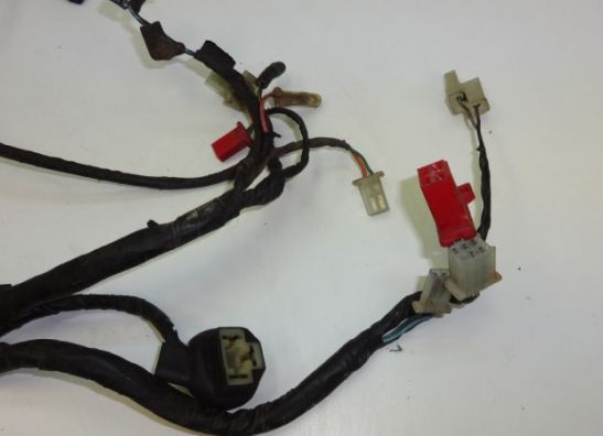 Wire Harness Honda TRANSALP