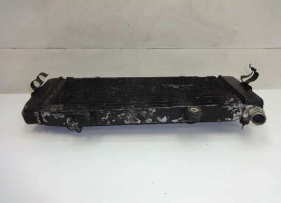 Radiator Honda CBR 600 F