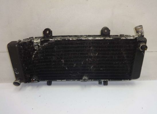 Radiator Honda CBR 600 F