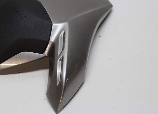 Buddy cover Kawasaki Z 900