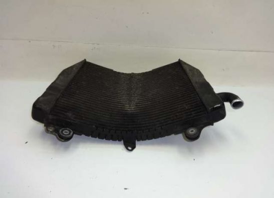 Radiator Suzuki RF 600