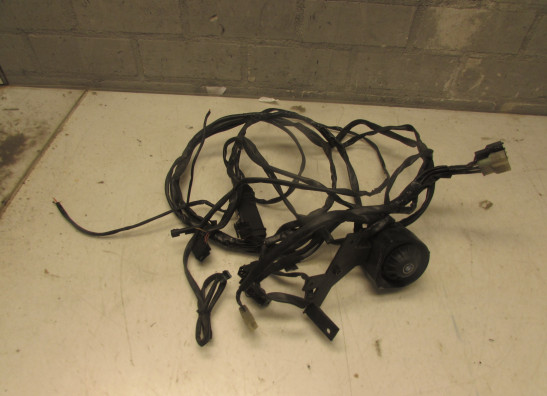 Wire Harness BMW K 1200 RS