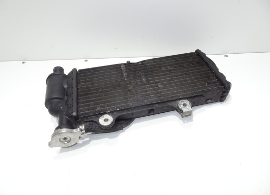 Radiateur BMW F 650 GS