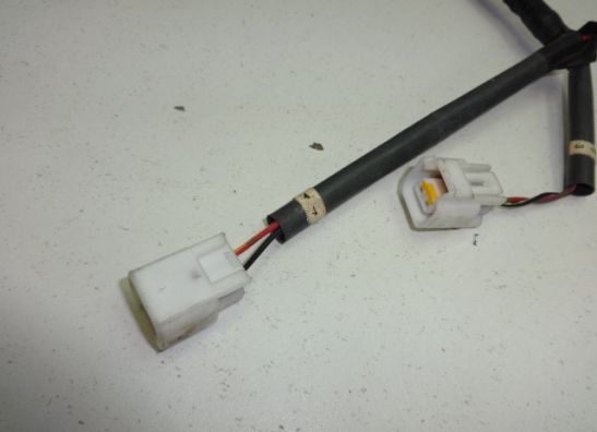 Wire harness front Honda CBR 600 F