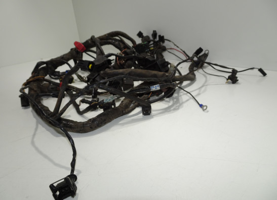 Wire Harness Triumph Sprint RS