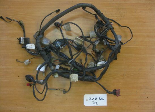 Wire Harness Kawasaki ZZR 600