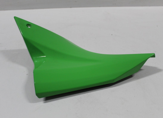 Cowl left small Kawasaki ZX 10 R