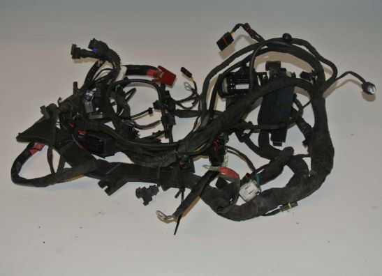 Kabelbaum BMW R 1200 GS