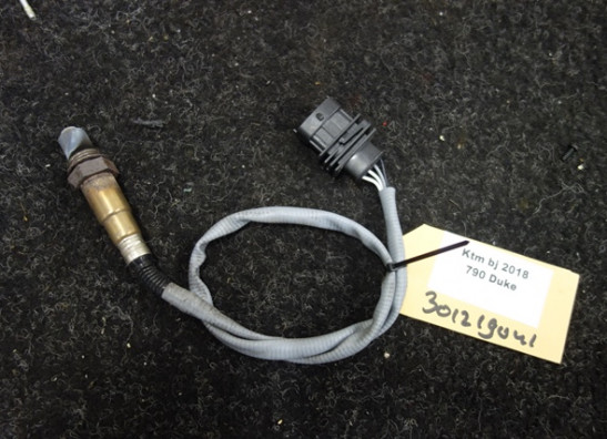 Oxygen sensor KTM 790 Duke
