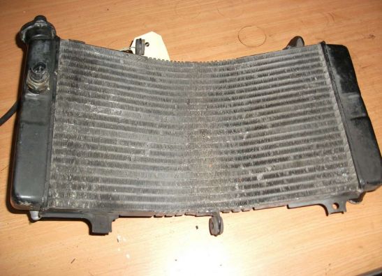 Radiator Suzuki GSX R 750