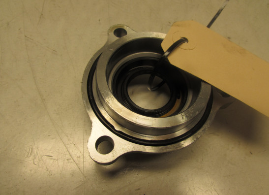 Engine parts Honda ST 1300 Pan European