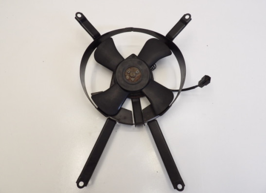 Fan Kawasaki ZX 7 R