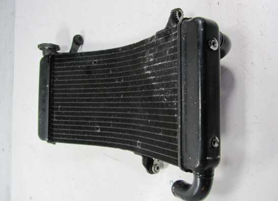 Kuhler Ducati Monster S4