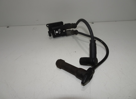 Bobine Ducati Multistrada 1100