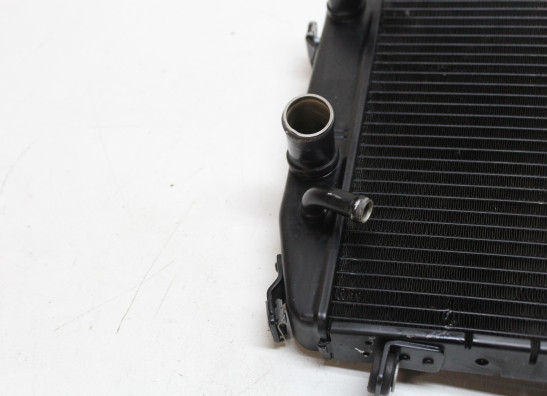 Radiateur Aprilia Tuono 660