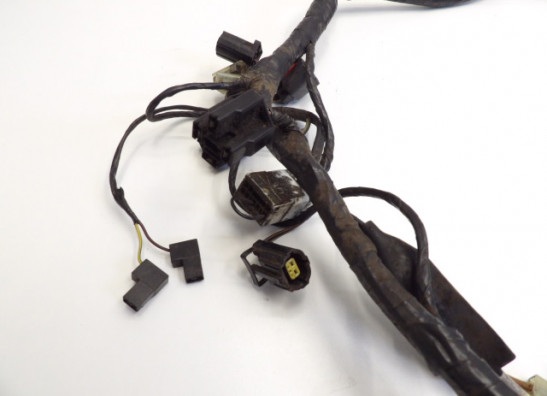 Wire Harness Triumph 1200 Daytona