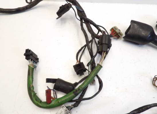 Wire Harness Triumph 1200 Daytona