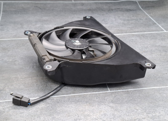 Fan Kawasaki Z 650