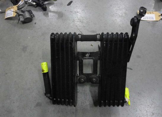 Olkuhler Aprilia Tuono 1000