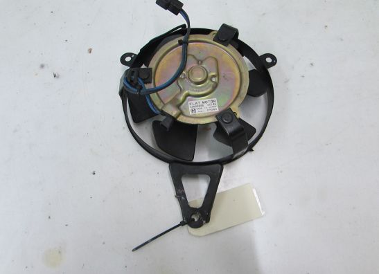 Ventilator Yamaha YZF 600 Thundercat