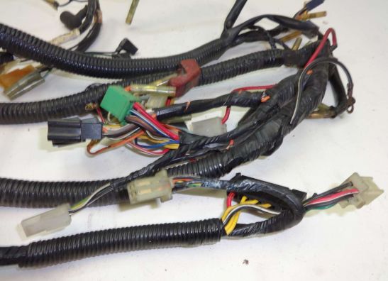 Wire Harness Suzuki RGV 250