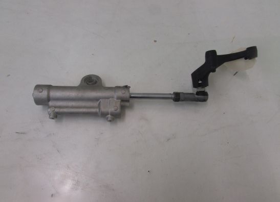 Lenkungs Dampfer Yamaha YZF R1