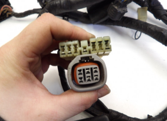 Kabelboom Yamaha TDM